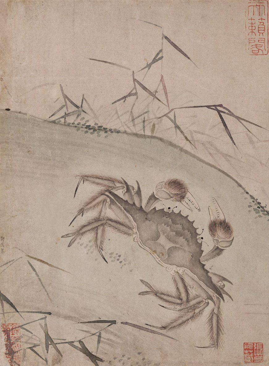 蟹