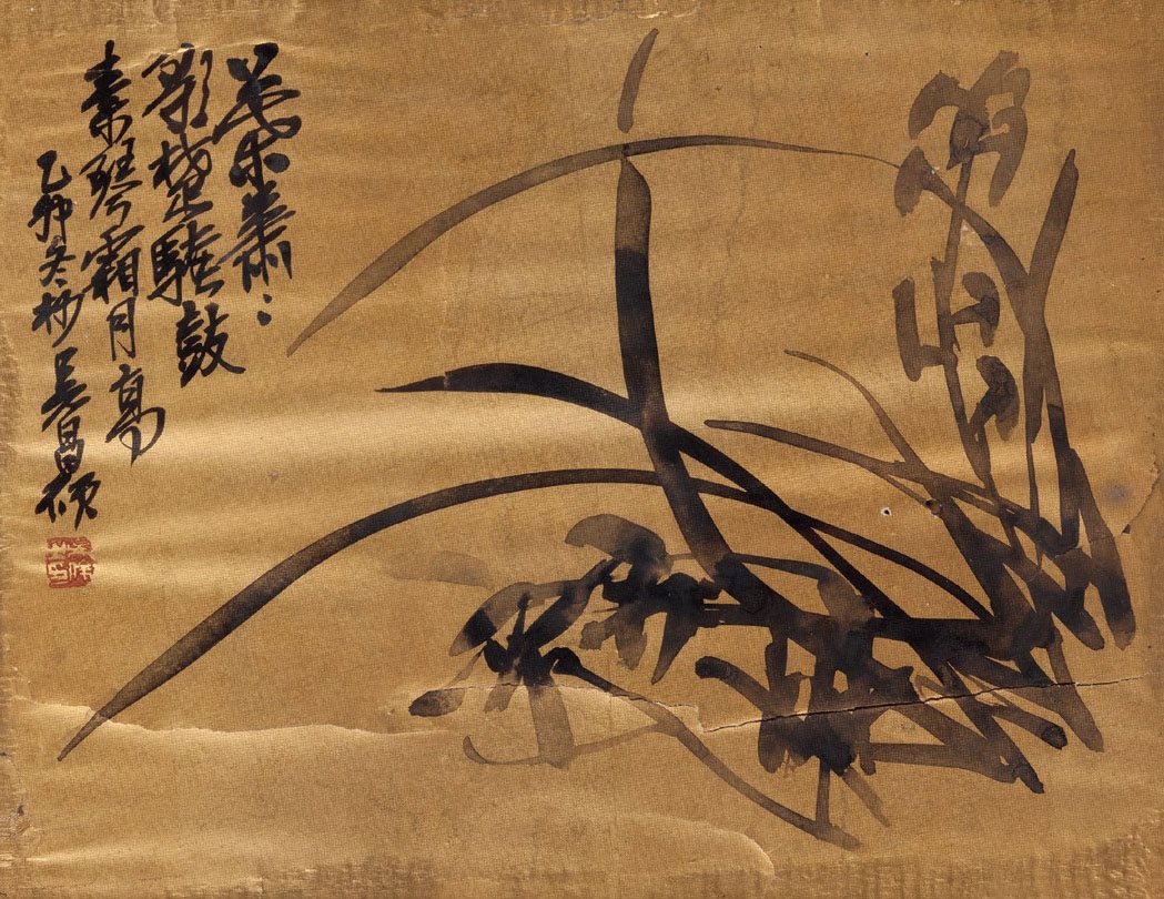 兰花