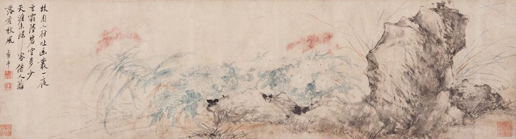 菊石图