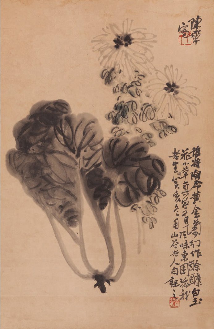 菊花白菜