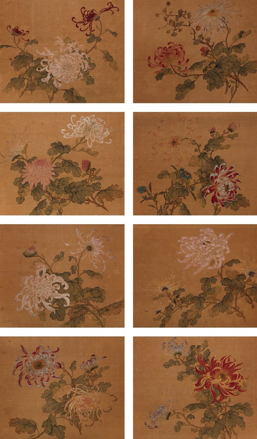 花卉册