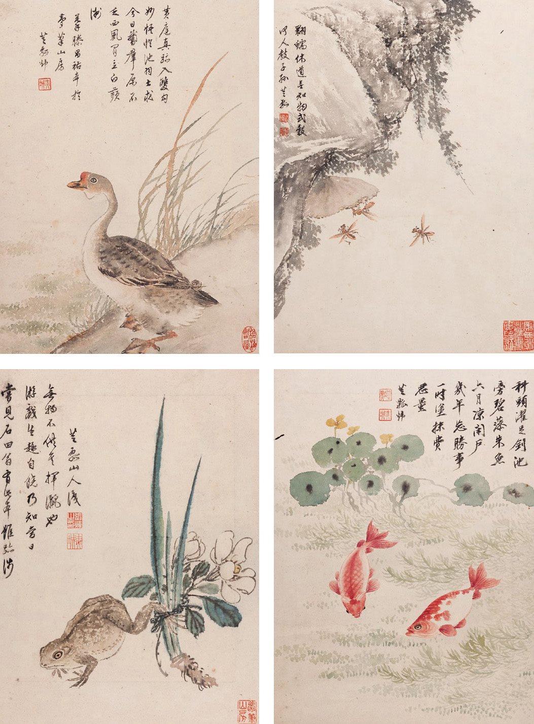 花卉册