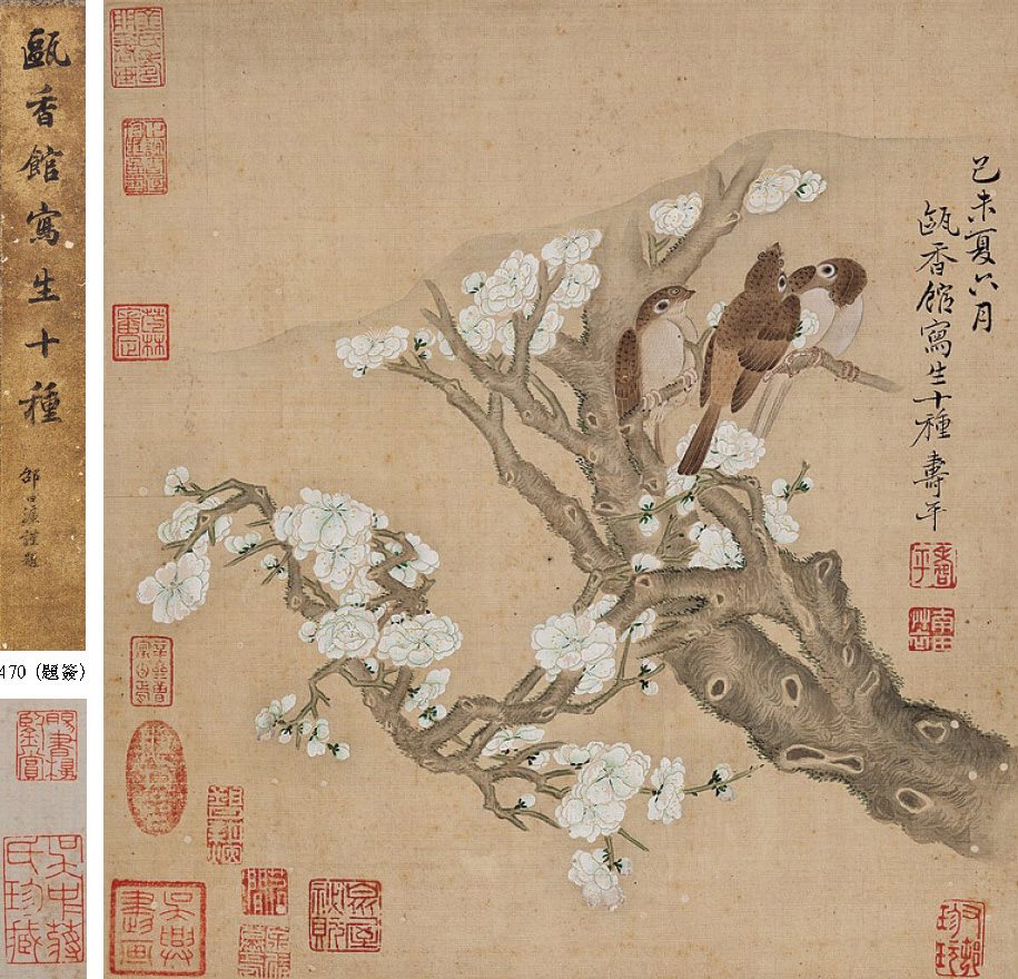 花卉册