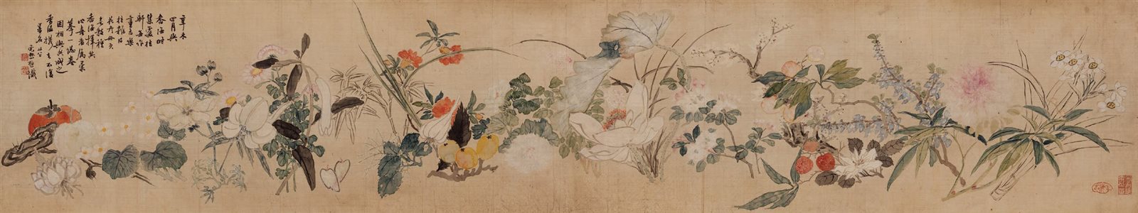 花卉