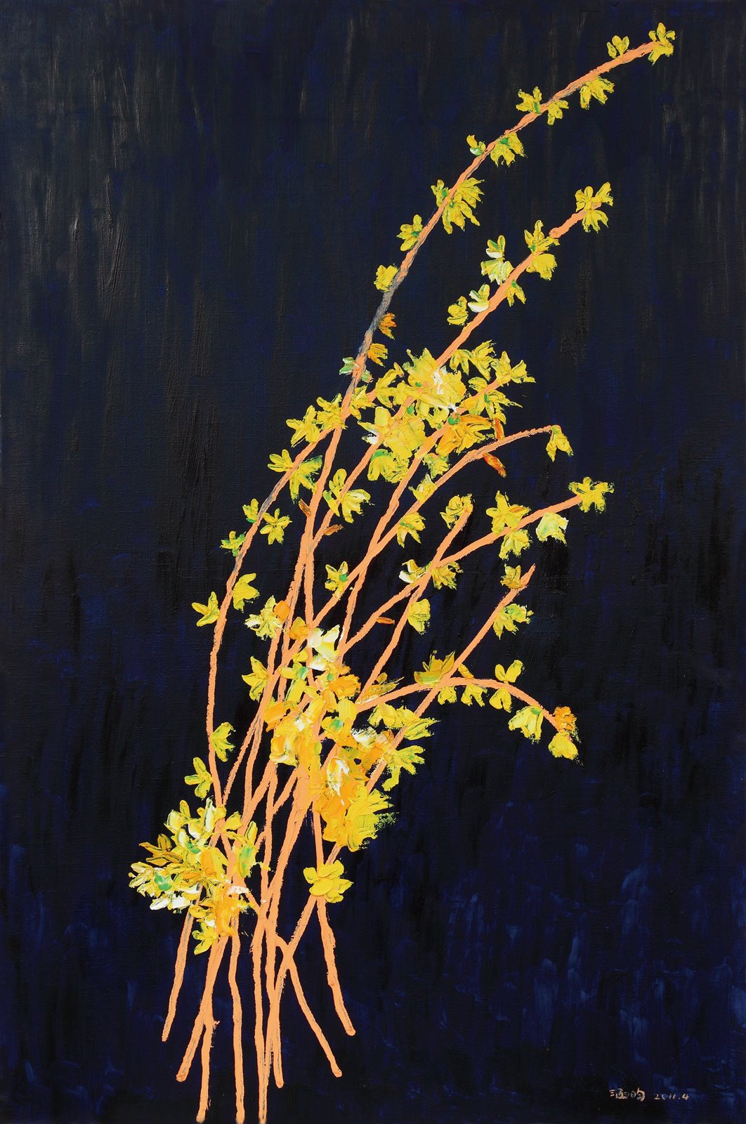 迎春花