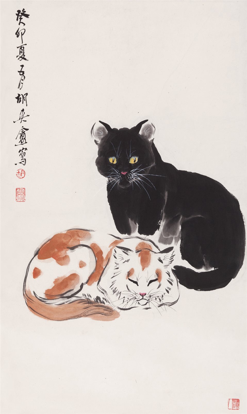 双猫