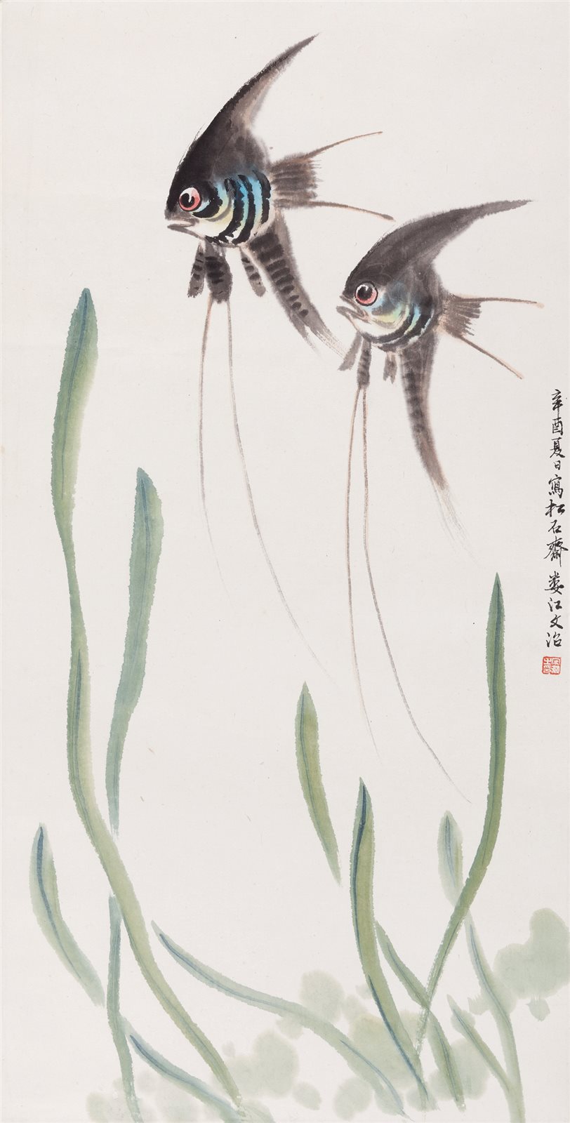 神仙鱼