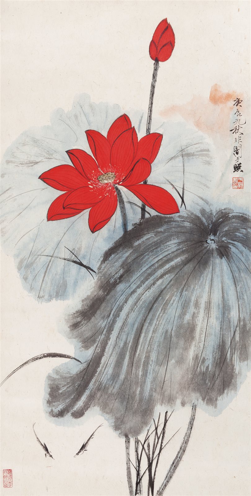 红荷