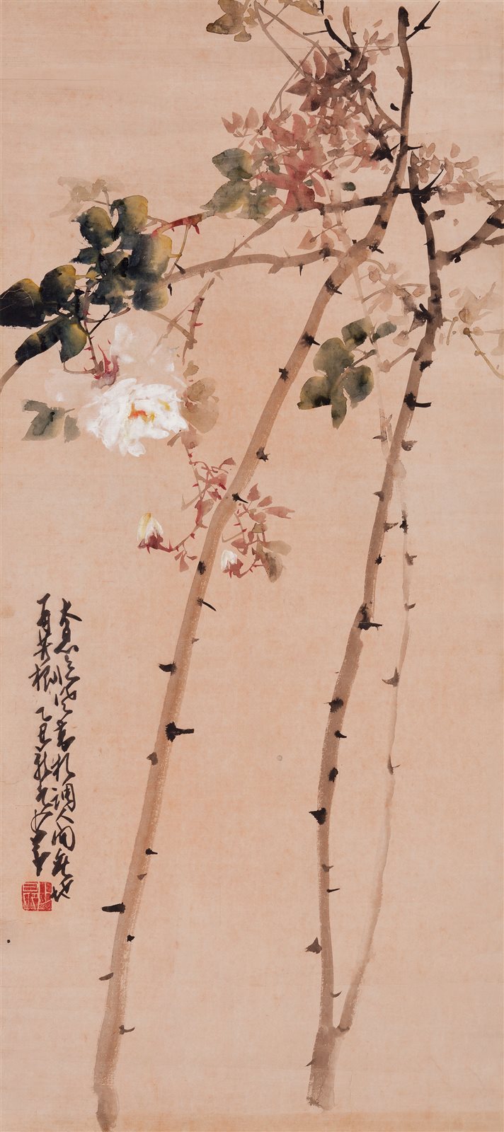 月季花