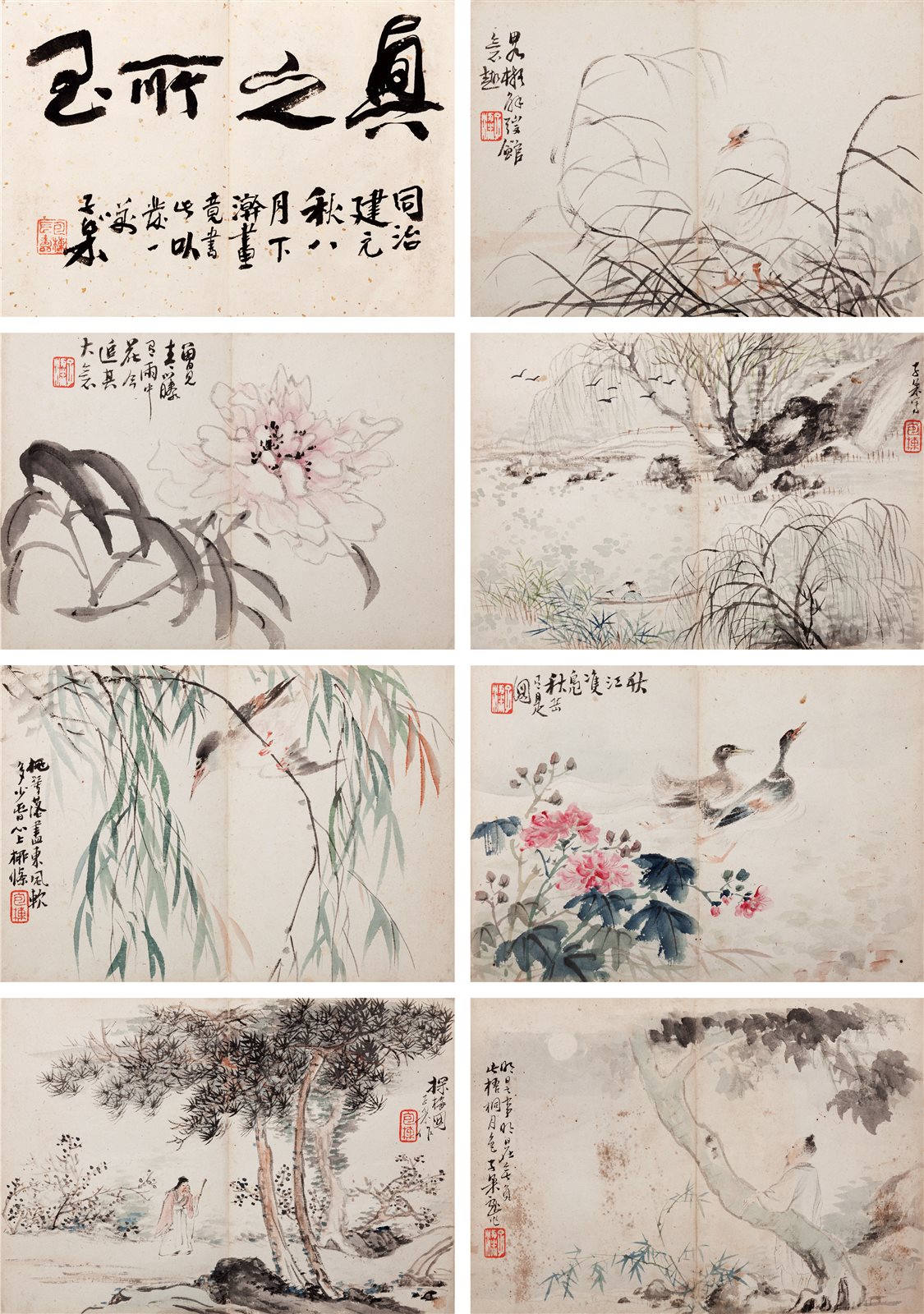 花鸟册