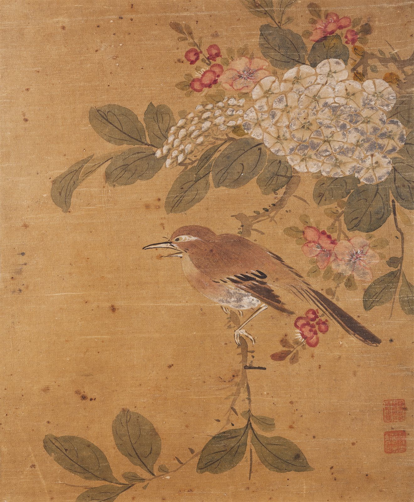 花鸟