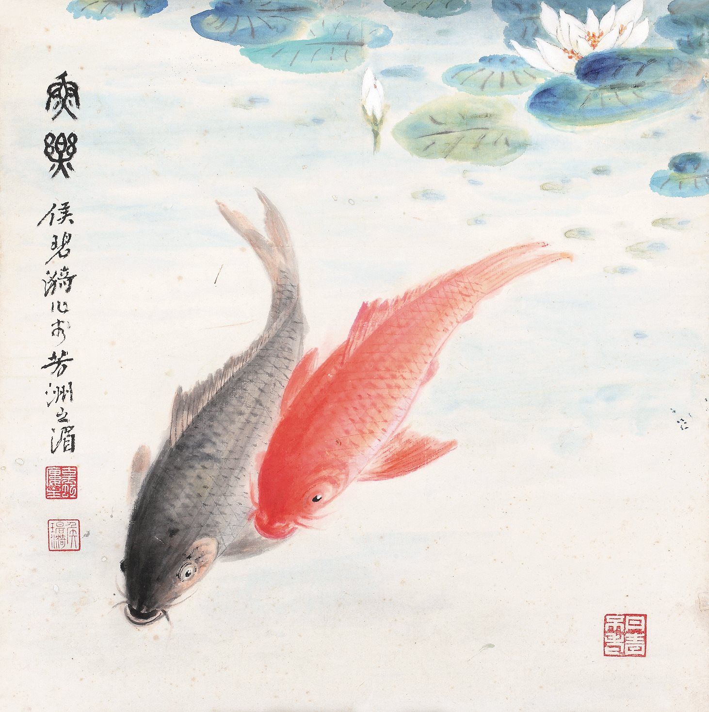 鱼乐