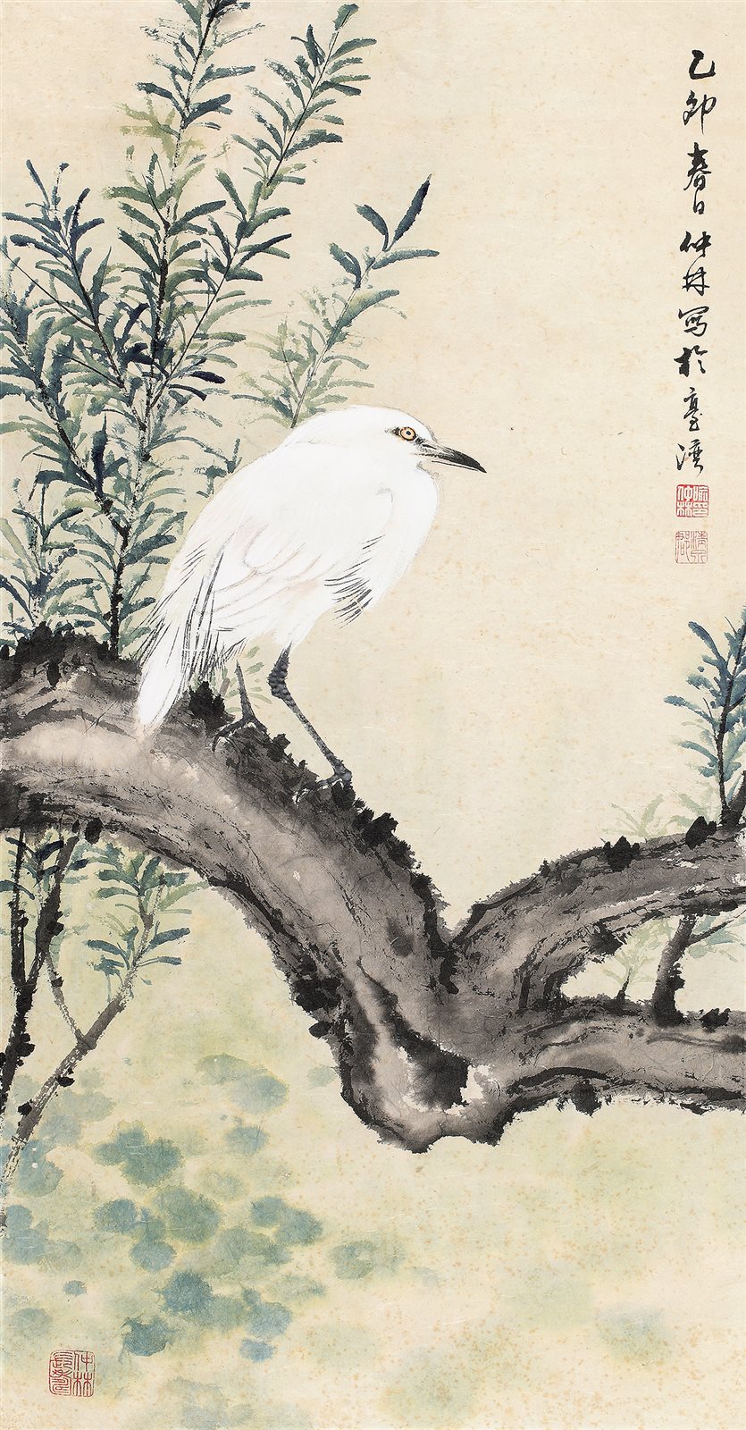 白鹭