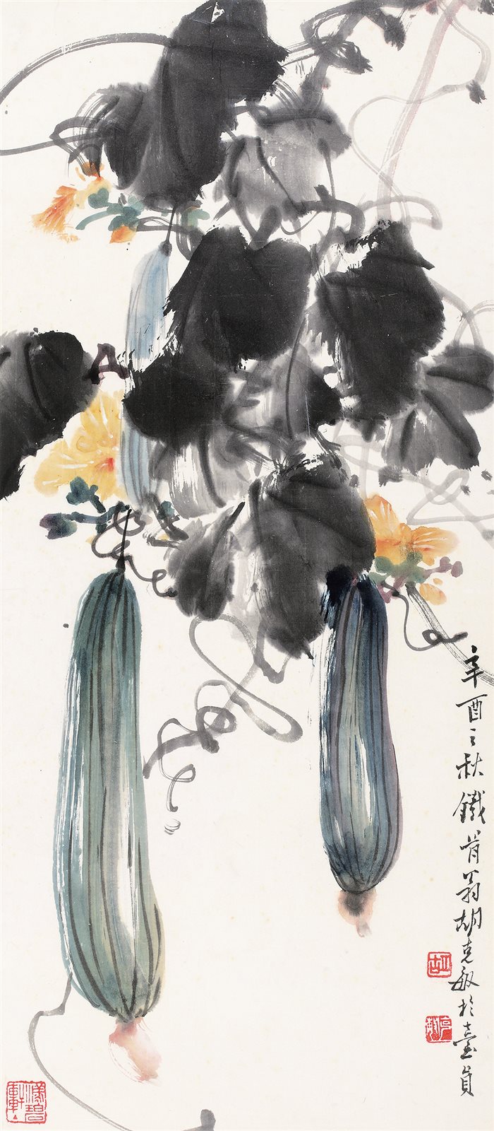 丝瓜