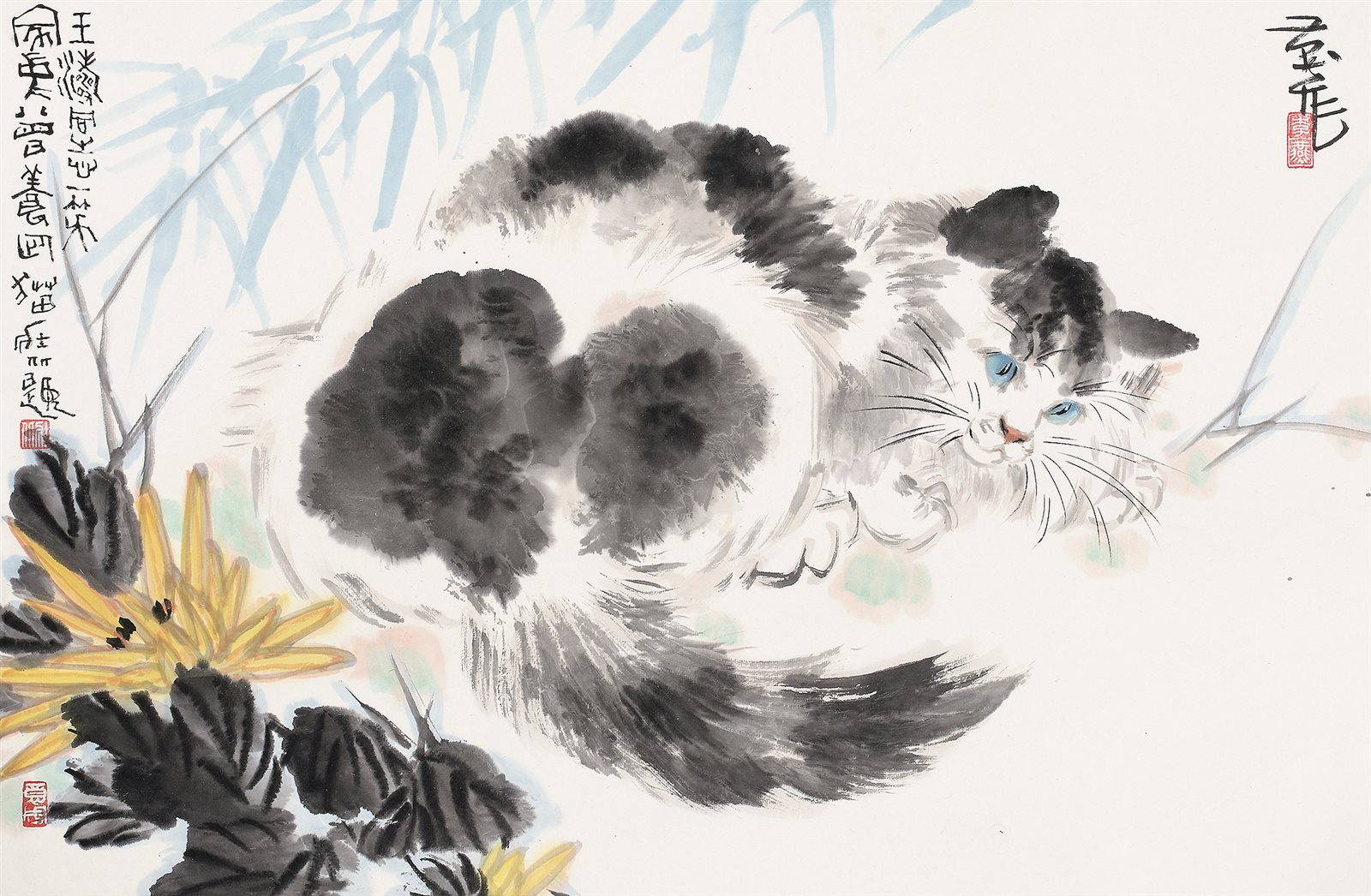 猫趣