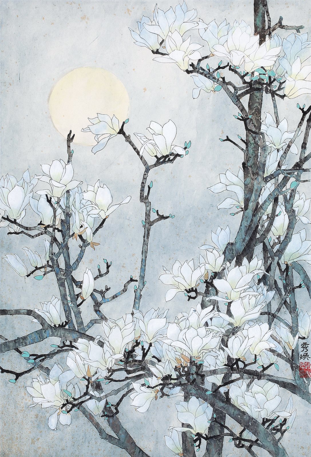 玉兰花