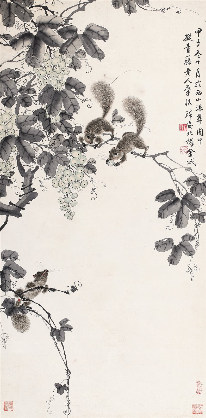 松鼠葡萄