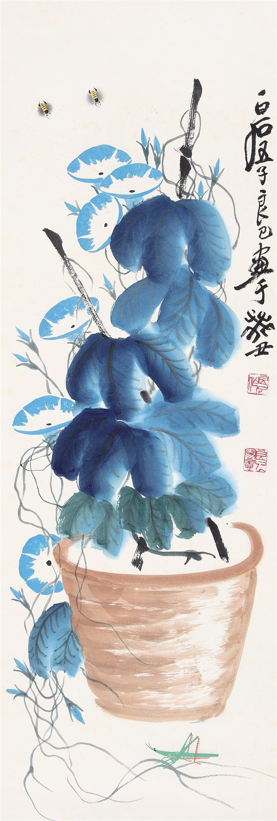蜜蜂牵牛