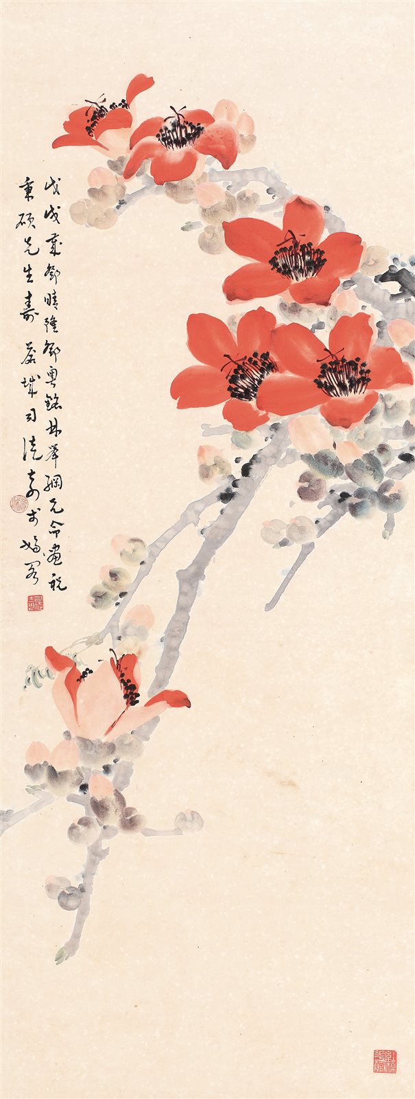 红棉花