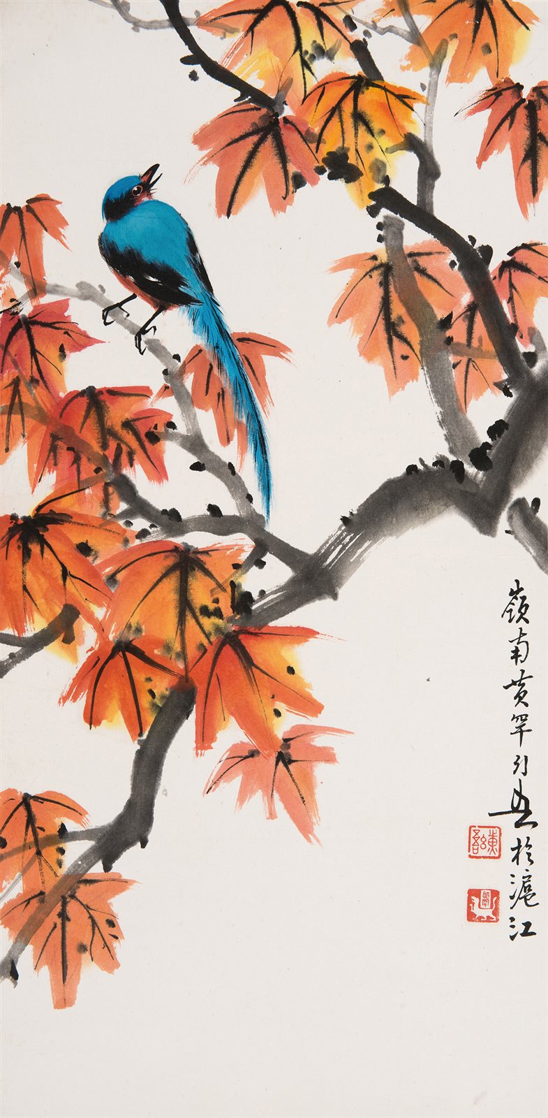 红叶小鸟