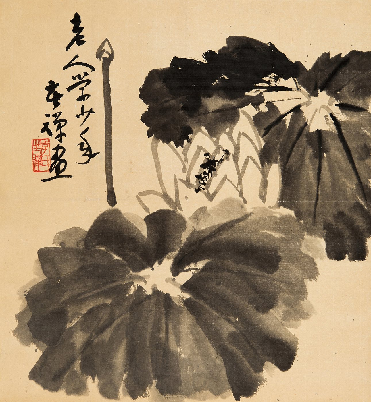 墨荷