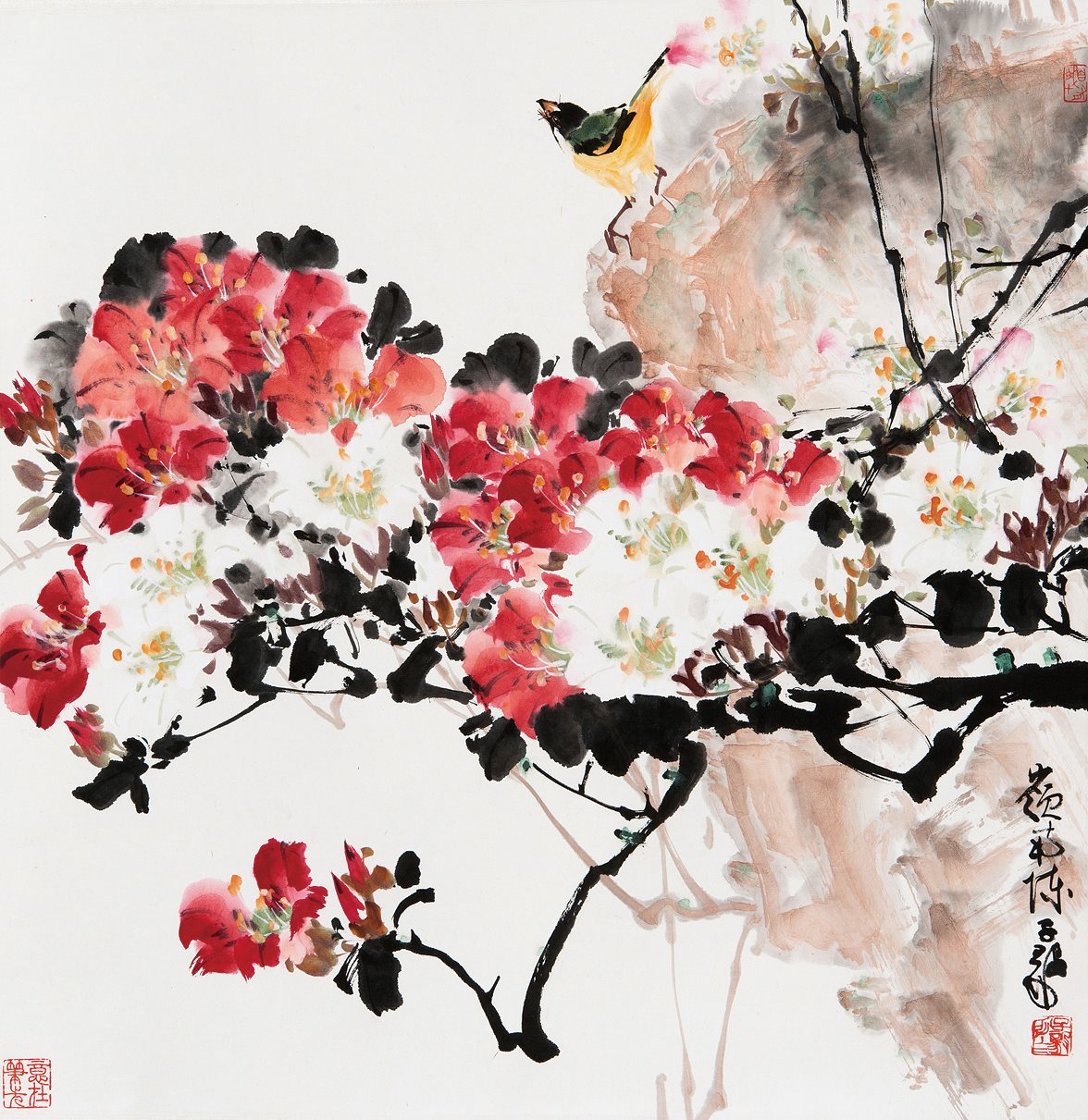 春常在