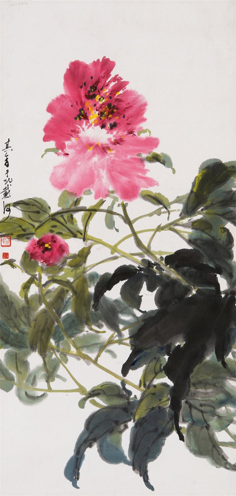 牡丹