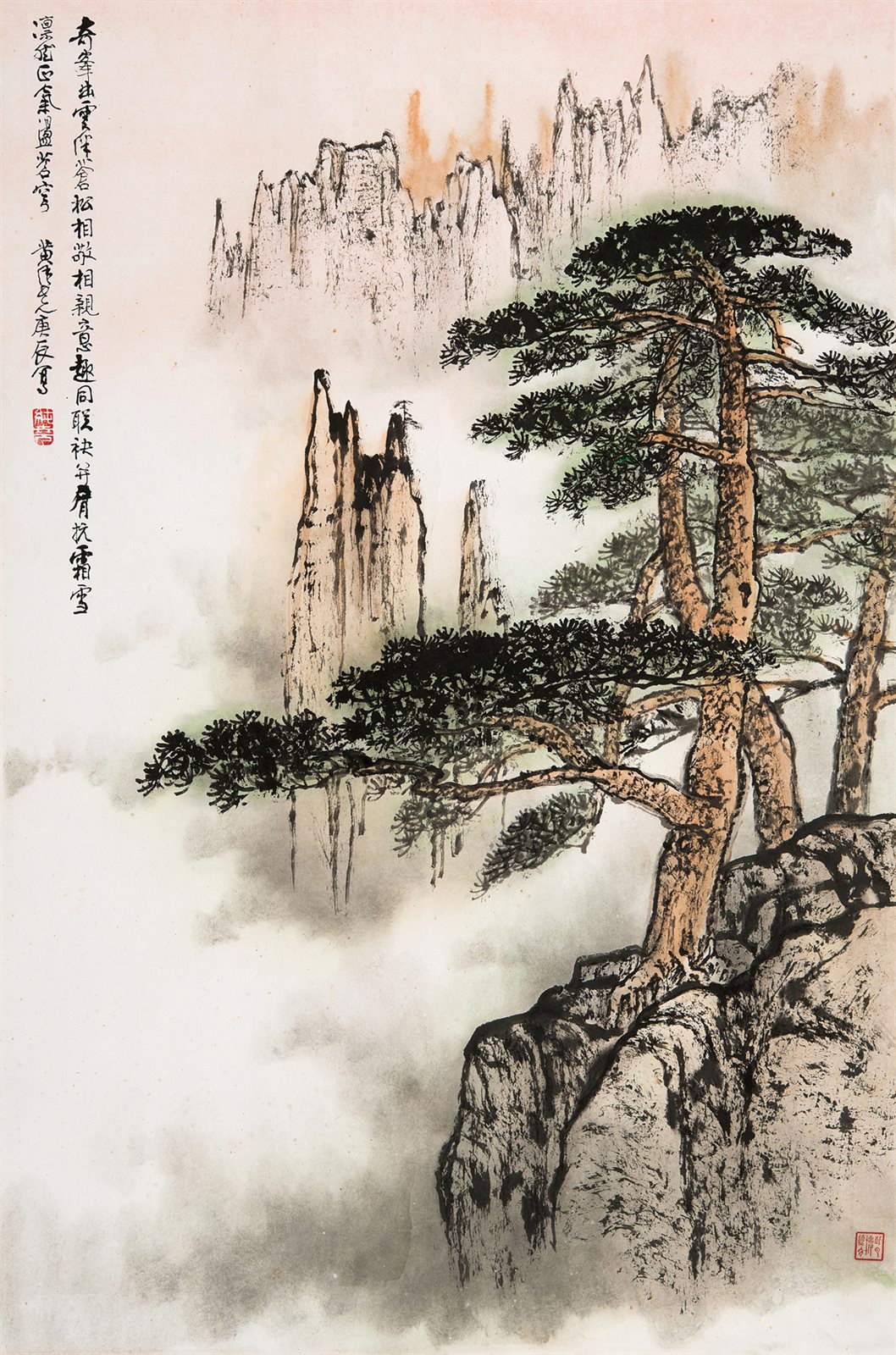 黄山松