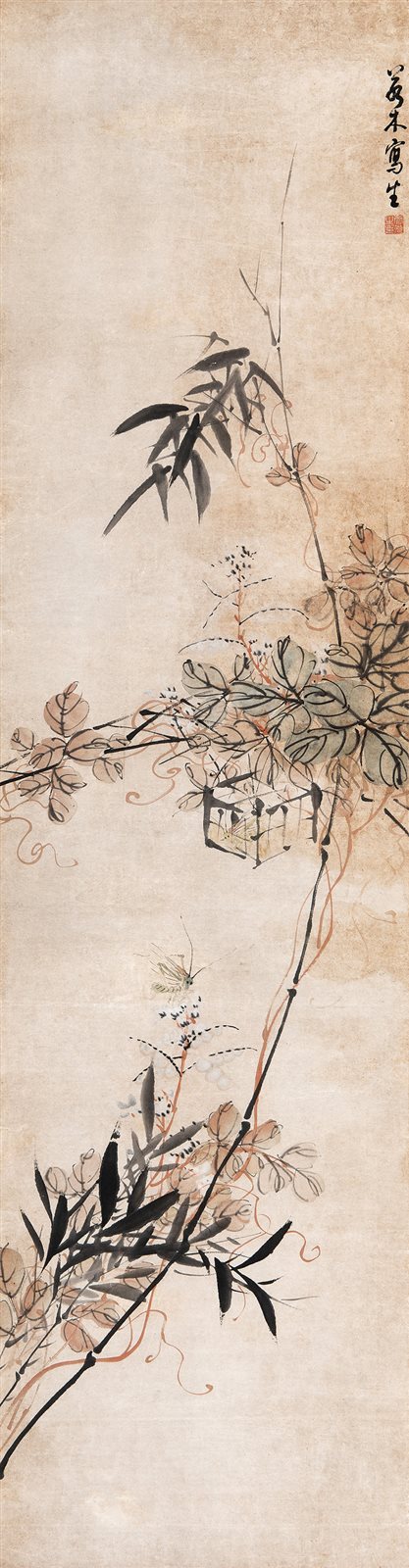 花卉