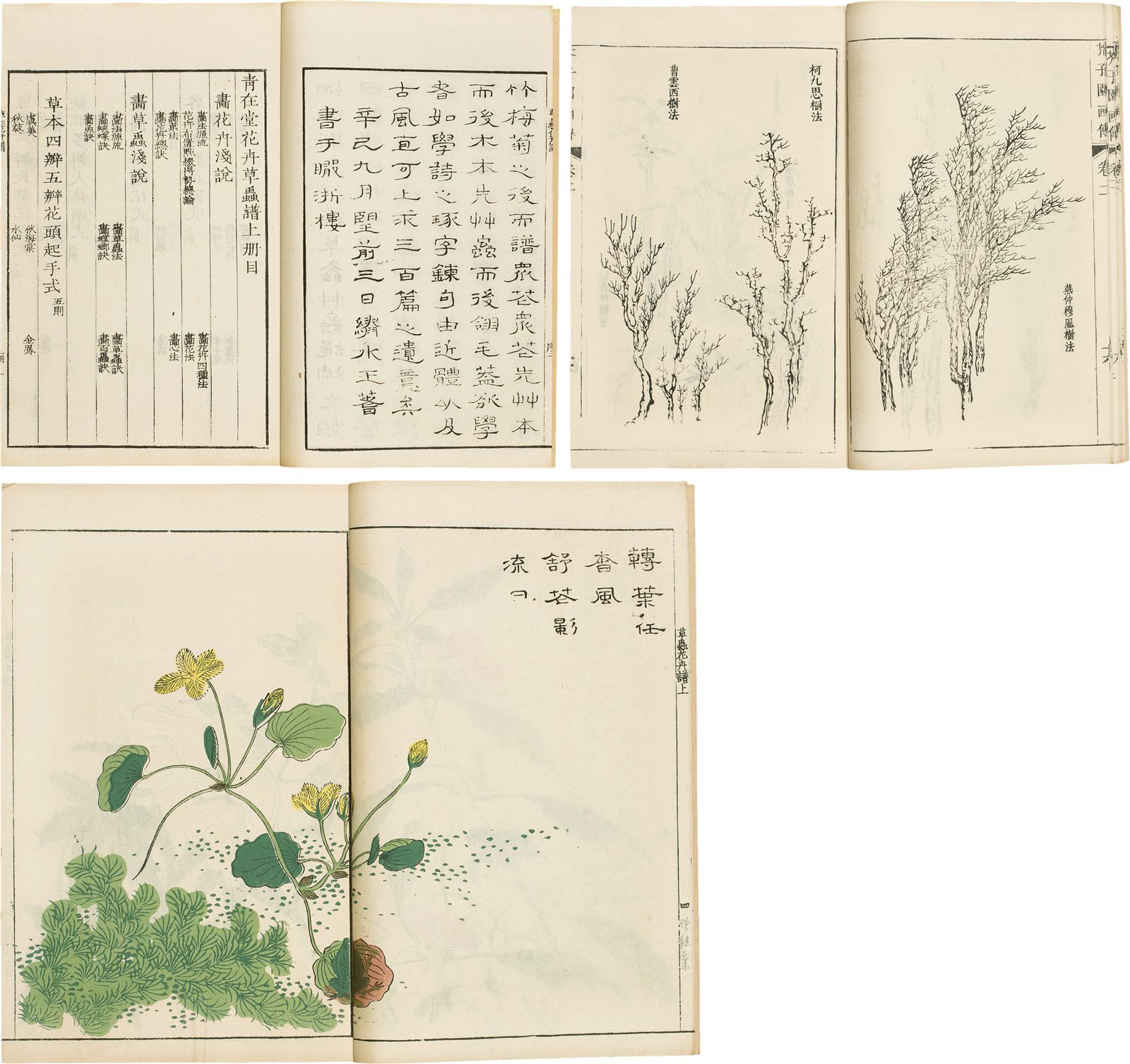 芥子园画传