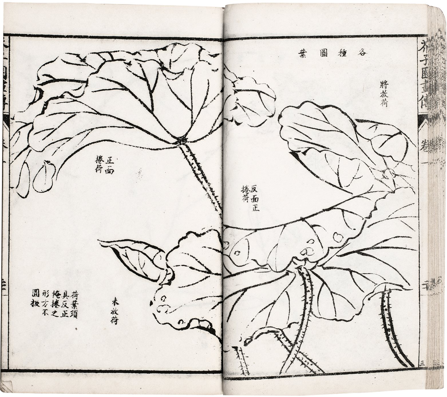 芥子园画传  