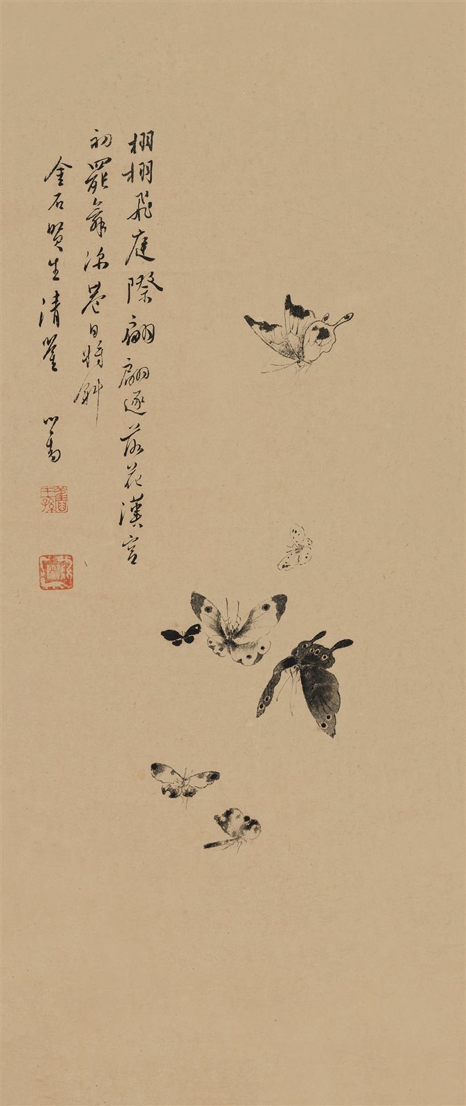 舞蝶图