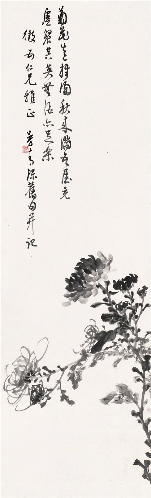 墨菊图