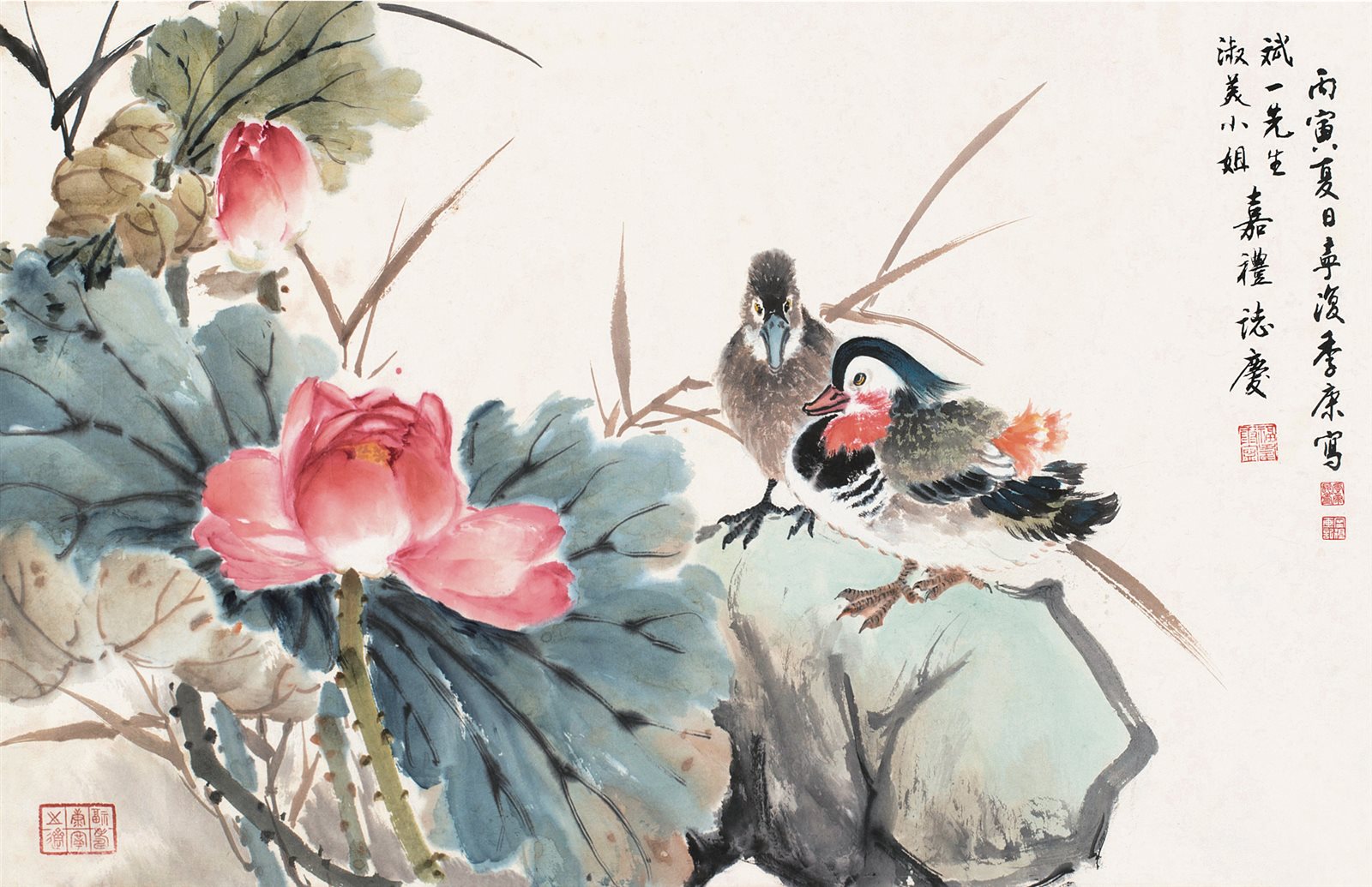 荷花鸳鸯