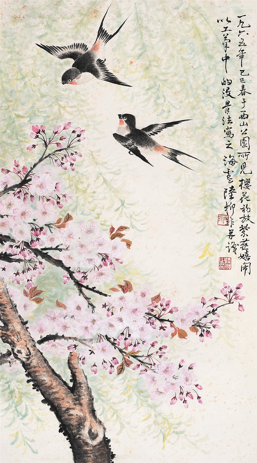 樱花紫燕