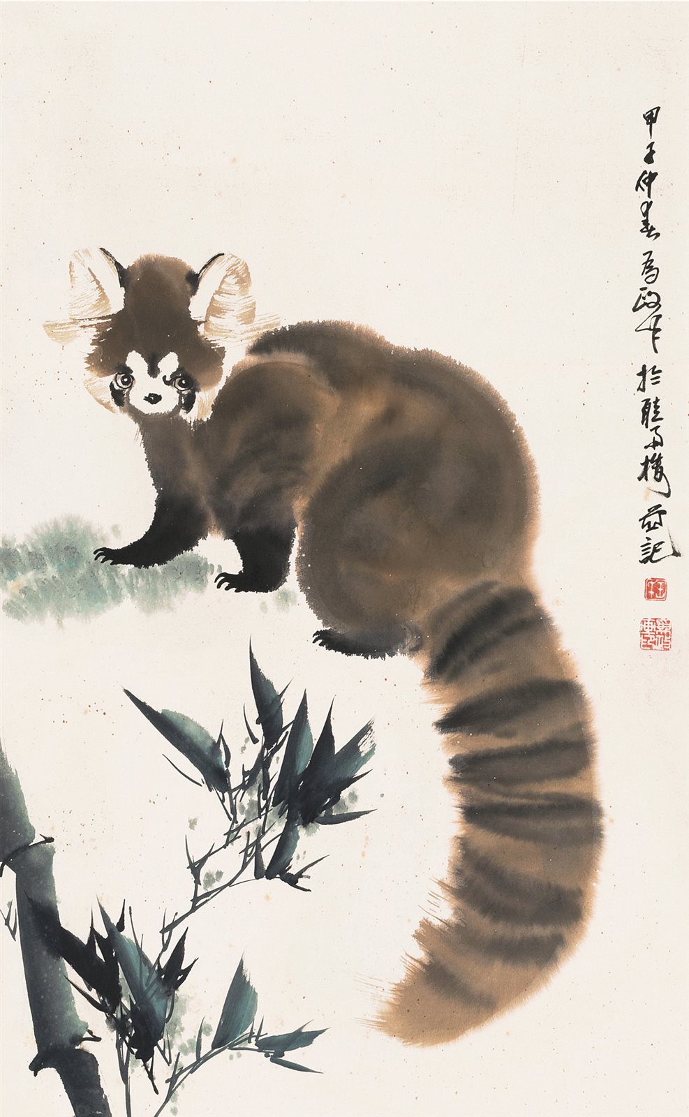 小熊猫