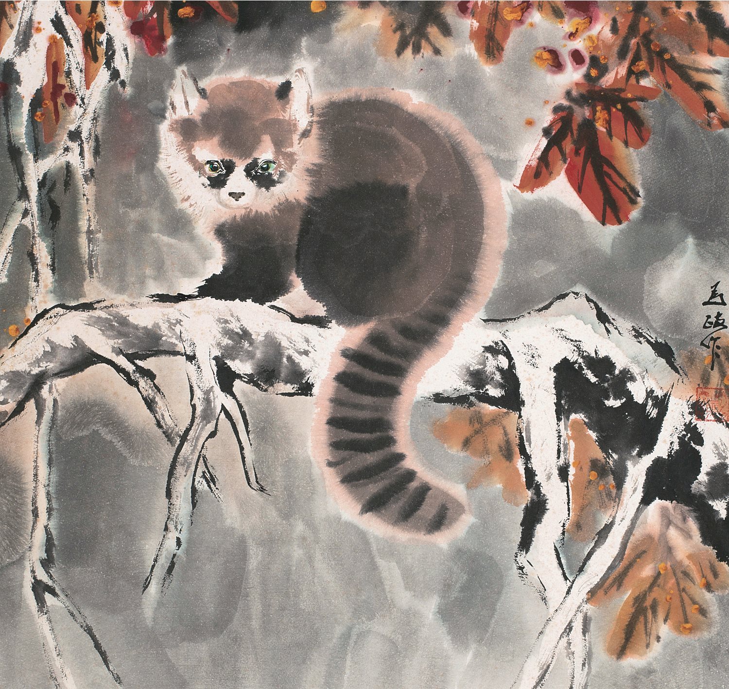 小浣熊