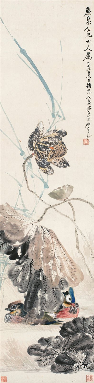 荷花鸳鸯