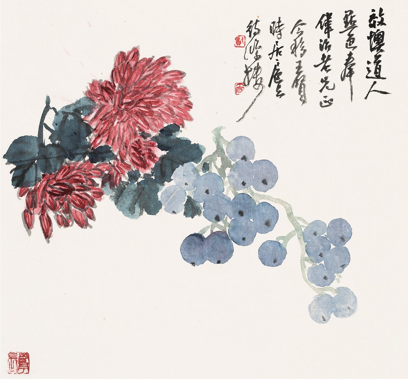 葡萄红菊图