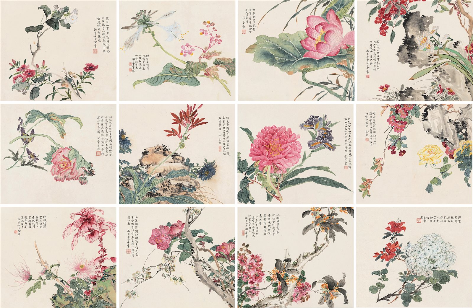 花卉册