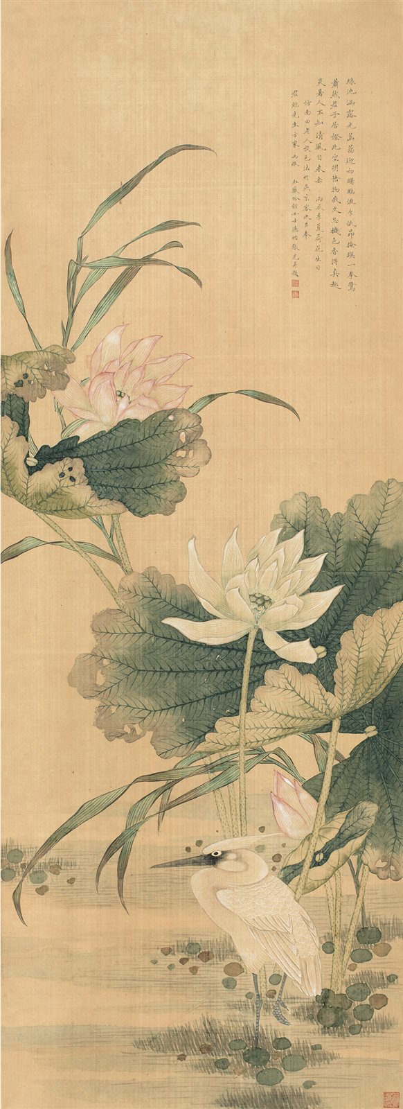 绿池涵露光