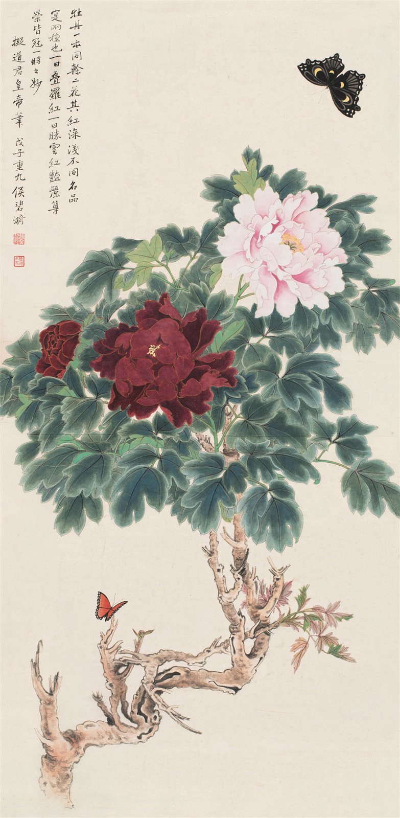 牡丹蝶恋