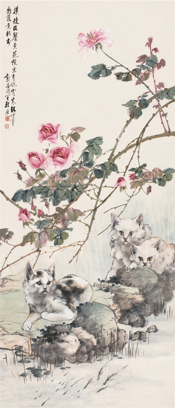 月季家狸