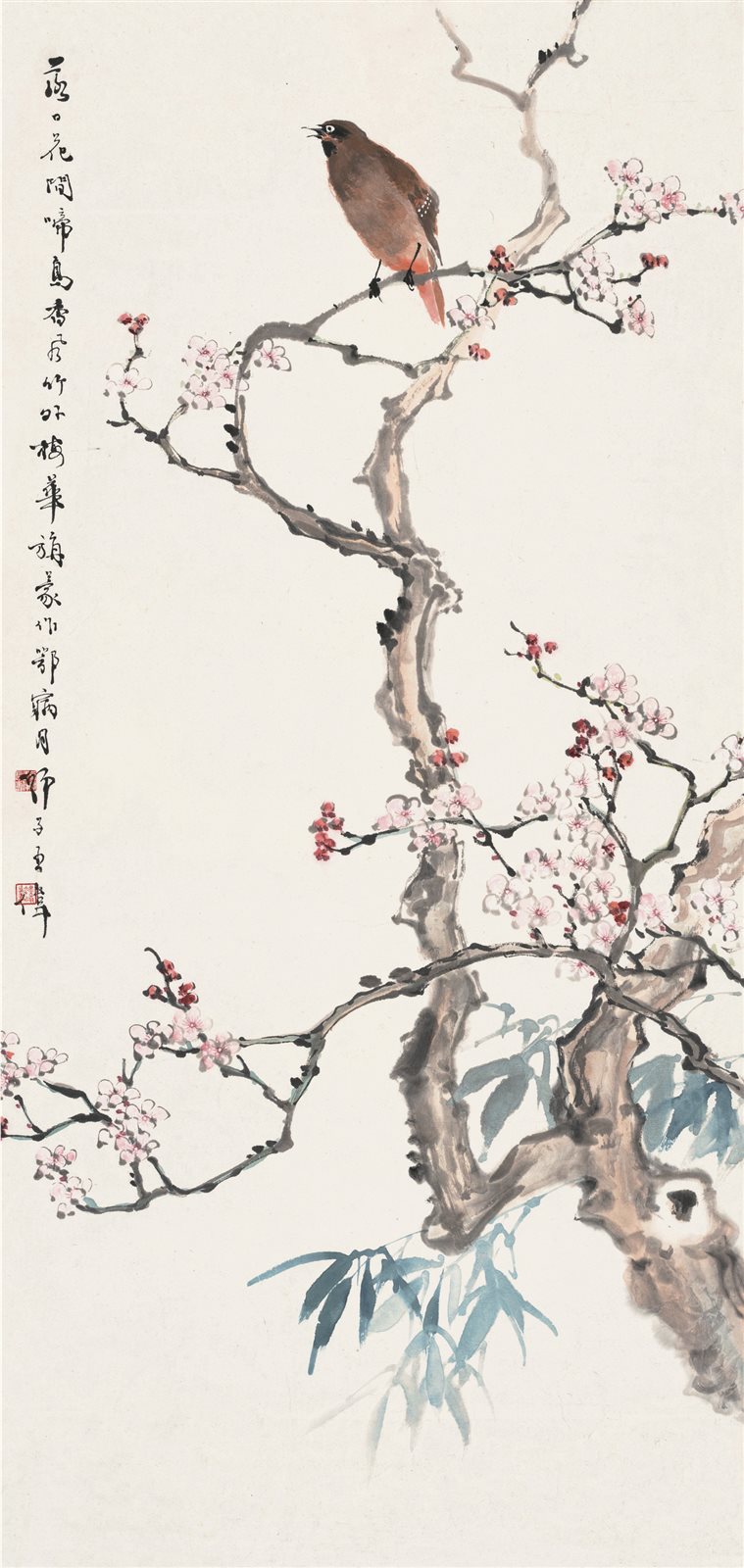 梅花小鸟