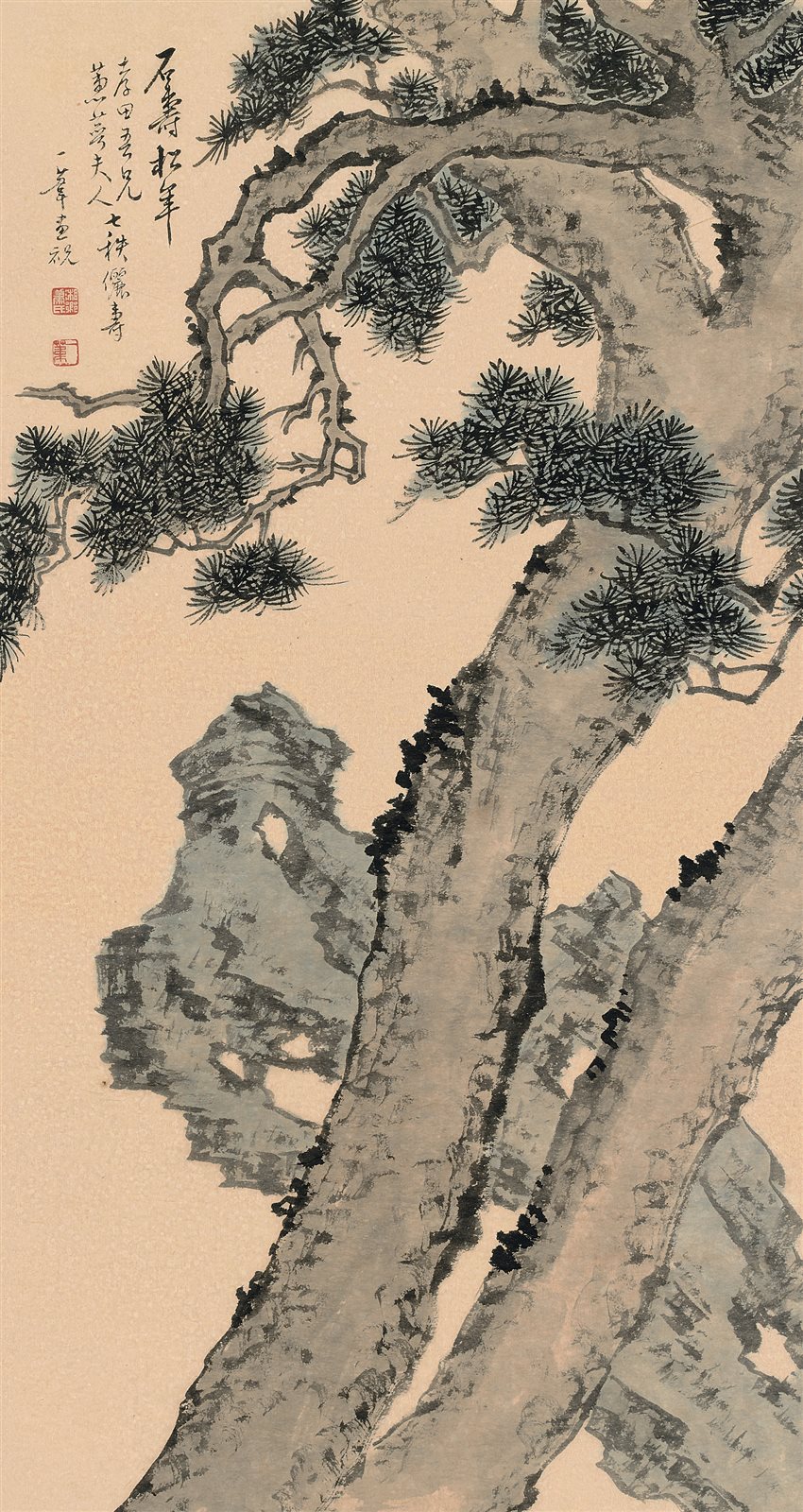 石寿松年