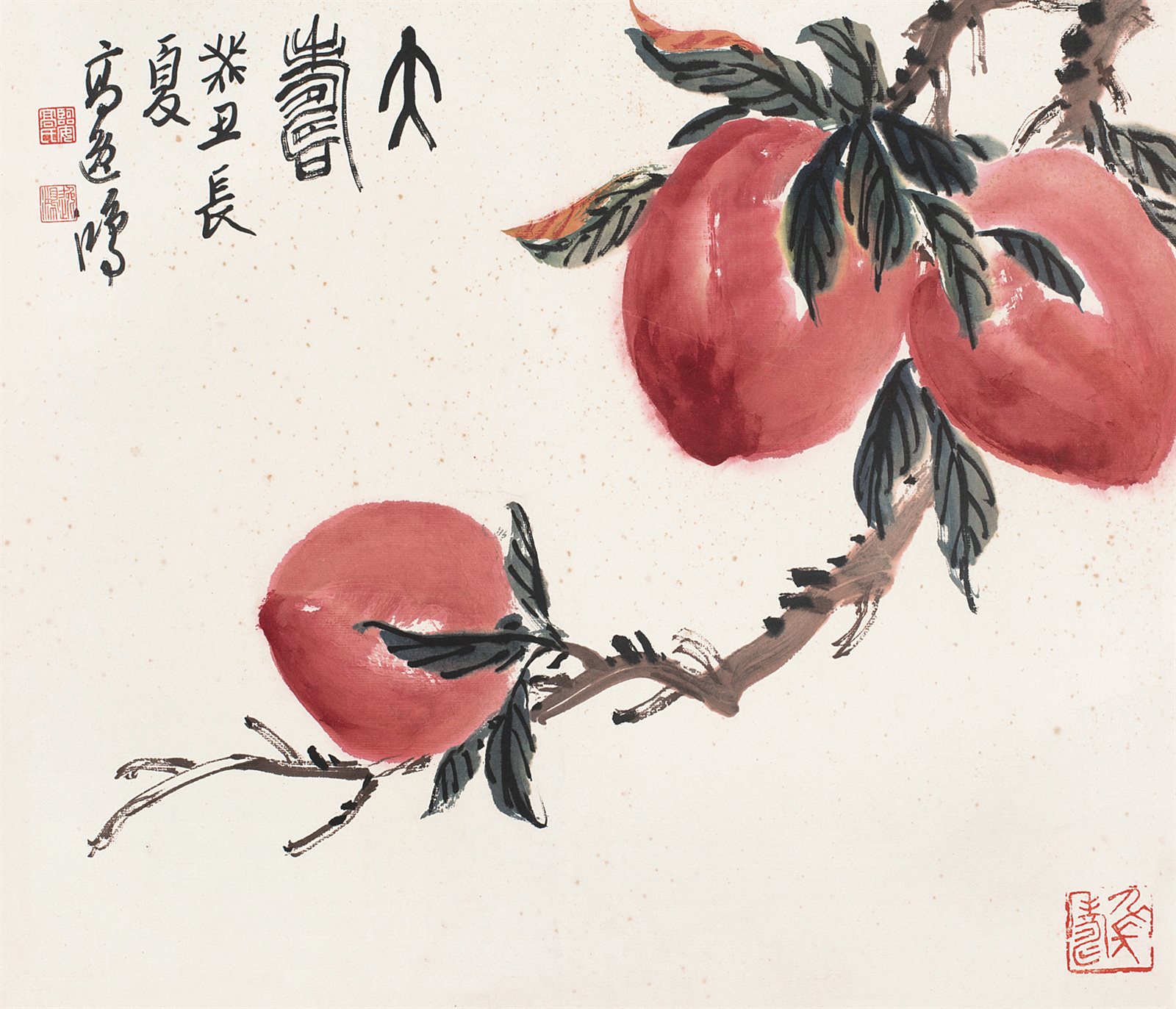 大寿