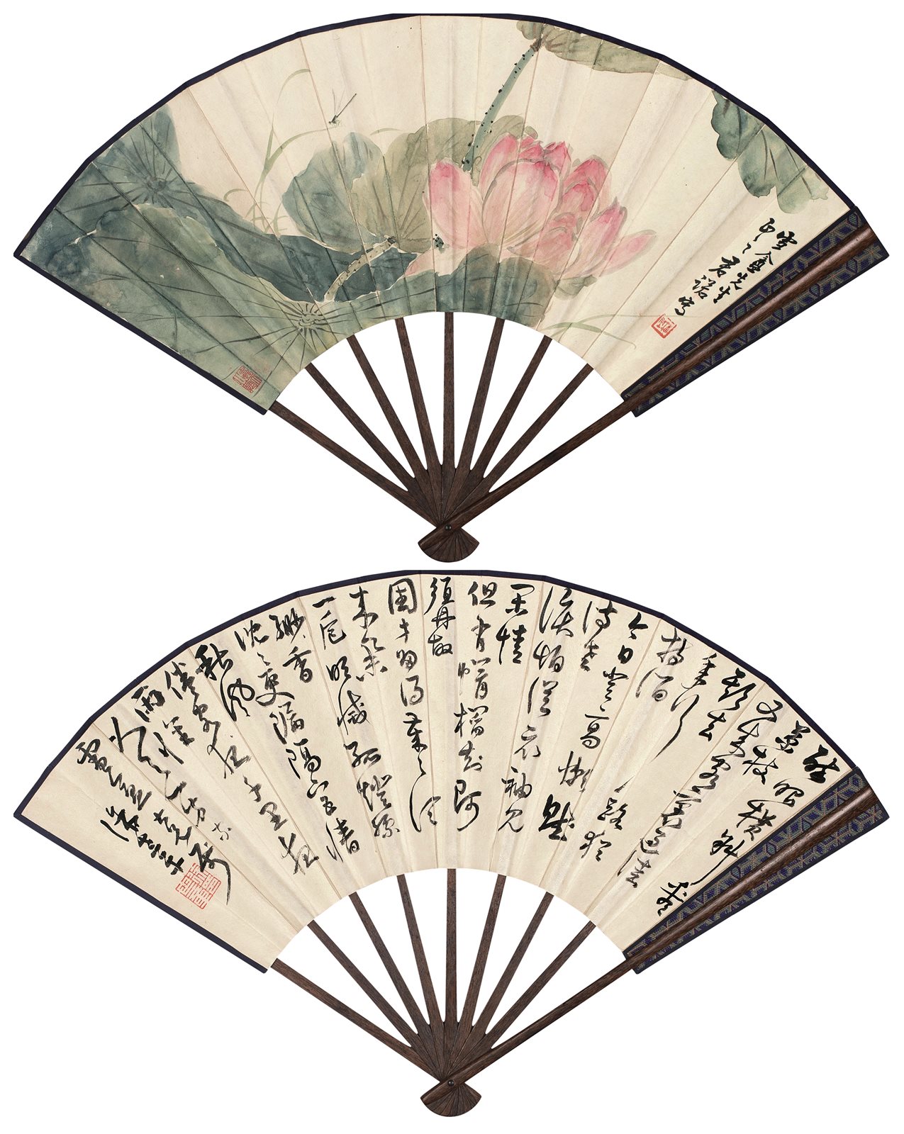荷花蜻蜓
草书书法