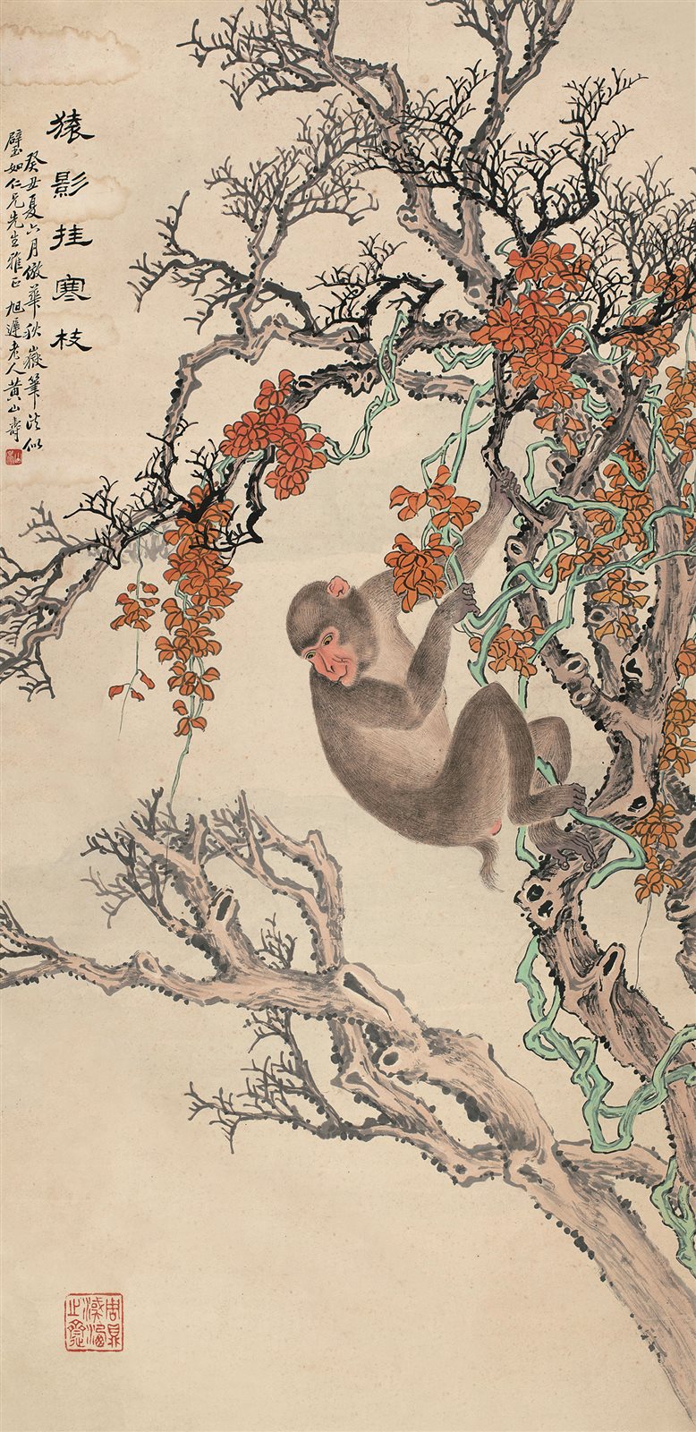 猿影桂寒枝