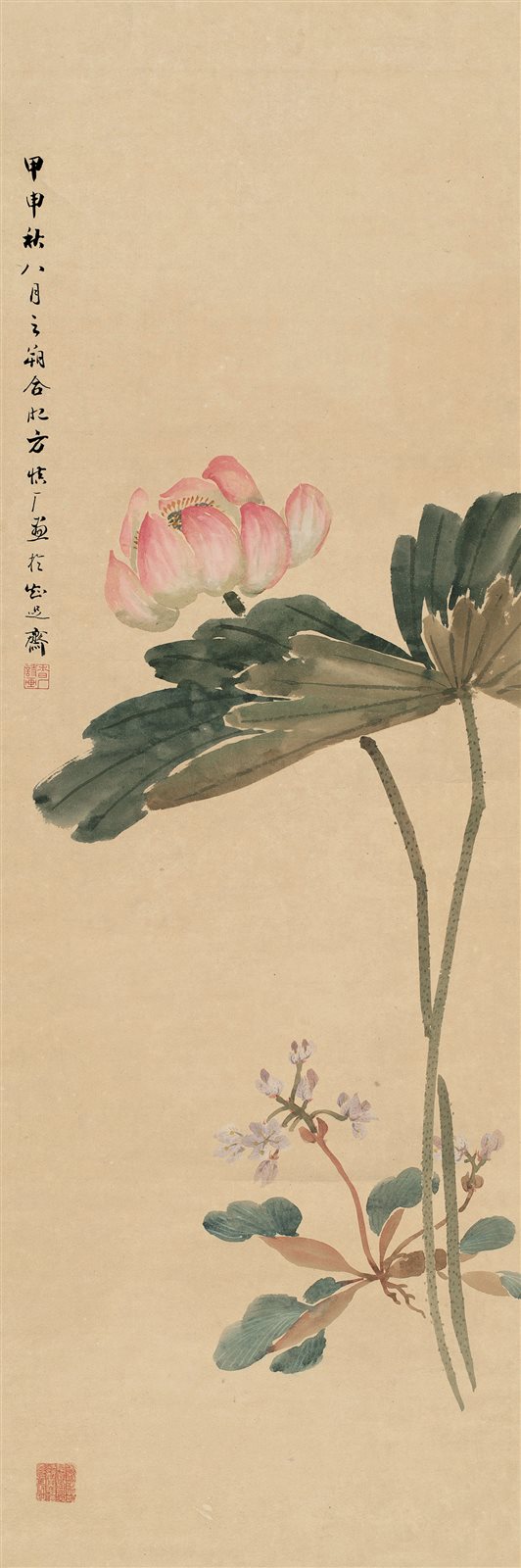 荷花清音
