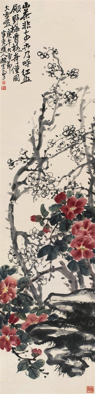山茶花